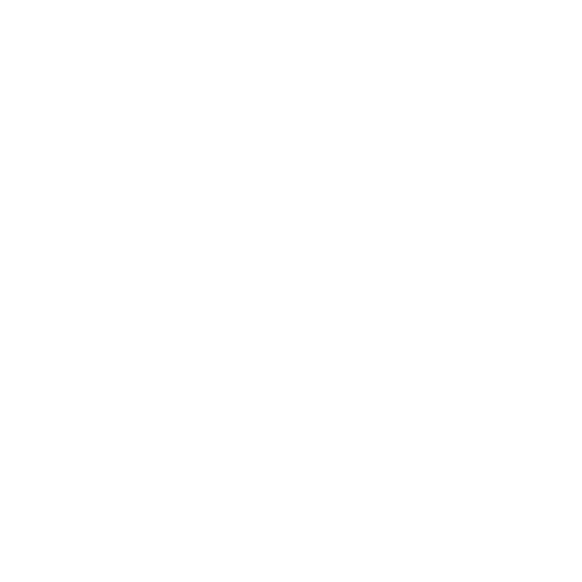 Tartaruga Negra